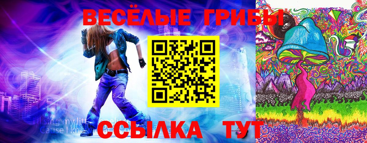 где найти   Вход с VPN  Мытищи  Псилоцибиновые грибы GOLDEN TEACHER 